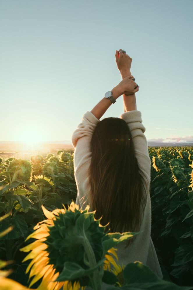 Woman in sunflower field Woman in sunflower field
